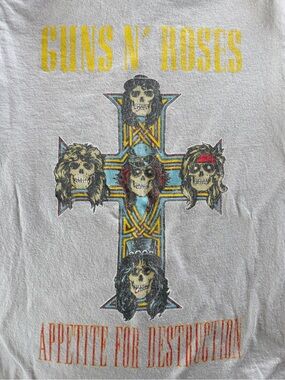 Guns n Roses Appetite For Destruction Graphic Tee - gray
